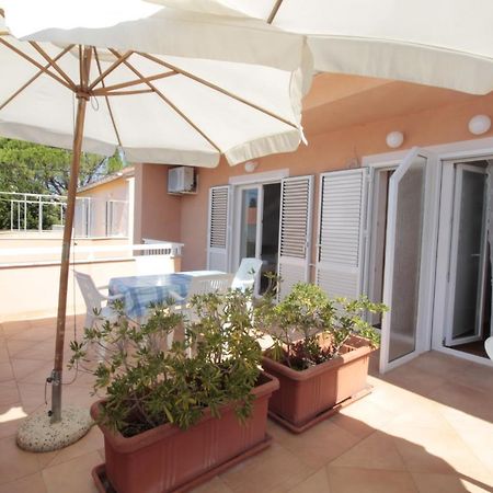 Studios & Rooms Fiesta Novaglia Esterno foto